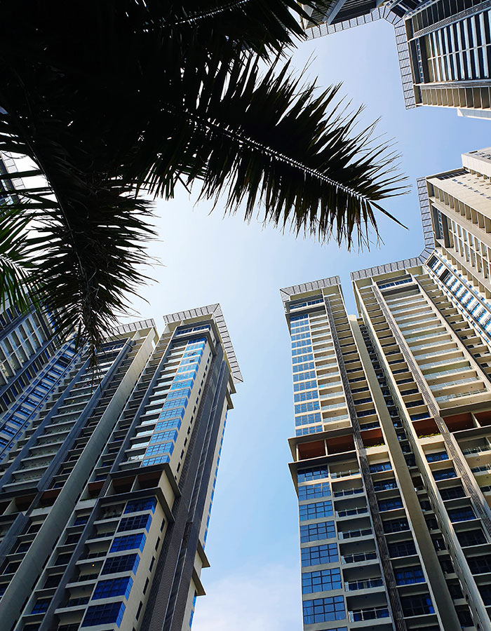 Property & Developers Accounting